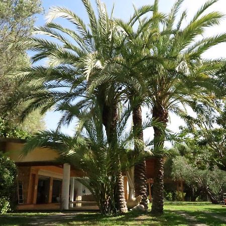 Villaggio Garden Park Marina di Camerota Kültér fotó