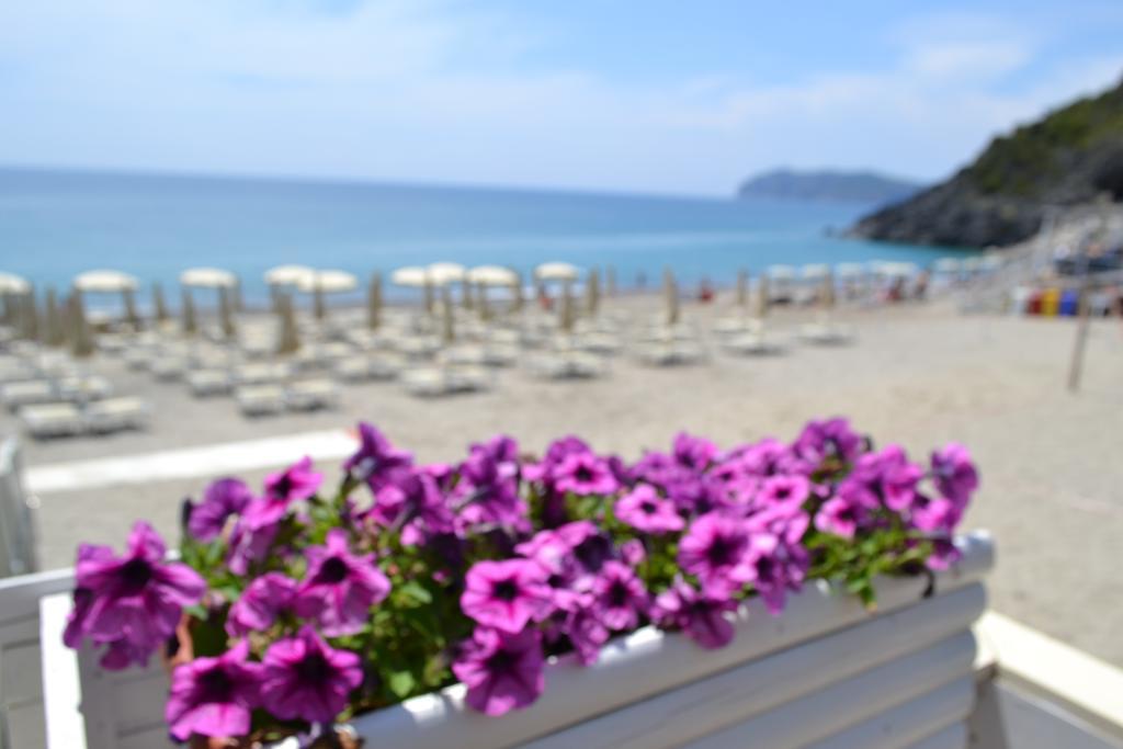 Villaggio Garden Park Marina di Camerota Kültér fotó