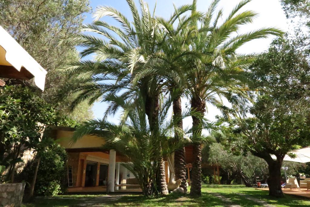 Villaggio Garden Park Marina di Camerota Kültér fotó